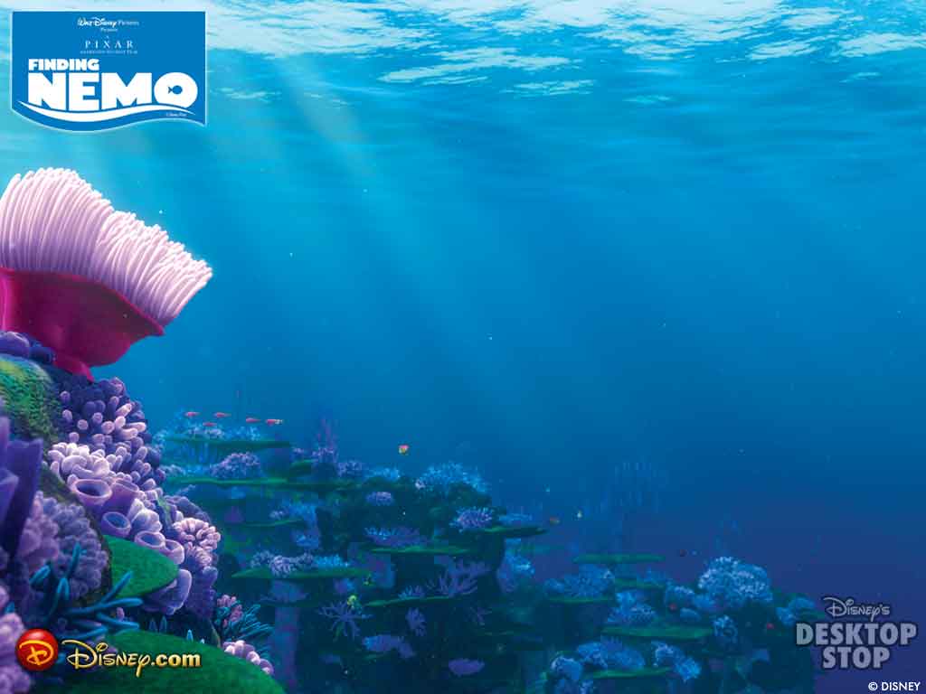 finding nemo 1024x768 photo or wallpaper