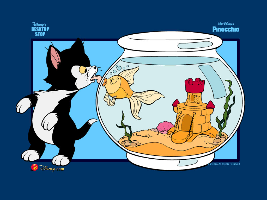 Pinocchio fish cat