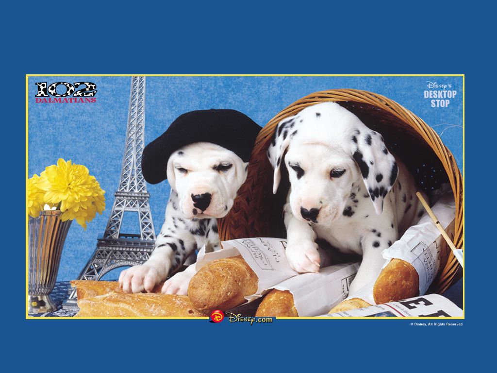 102 Dalmatians 1024