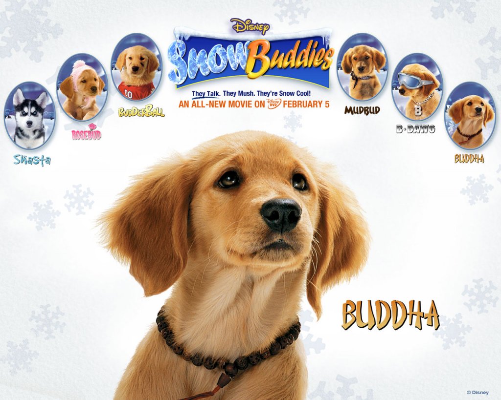 snow buddies buddha