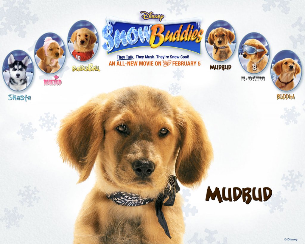 snow buddies mudbud