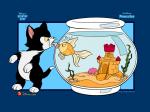 Pinocchio fish cat