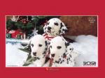 102 Dalmatians free