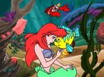 Little mermaid sea